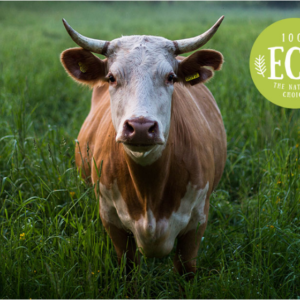 The Secret Life of Farm Animals
